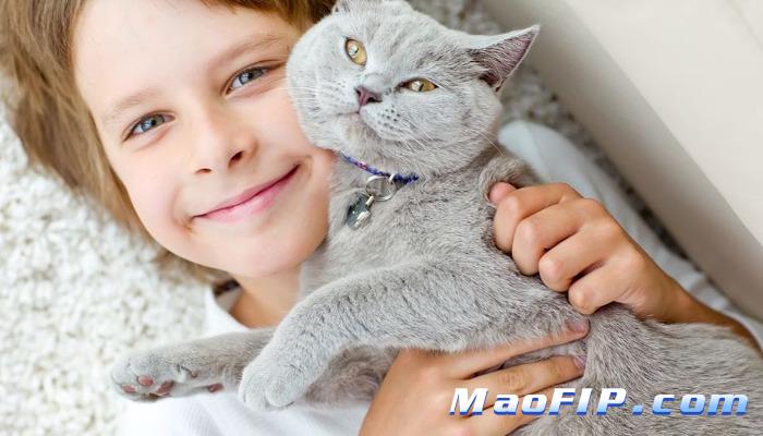 猫传腹的诊断标准