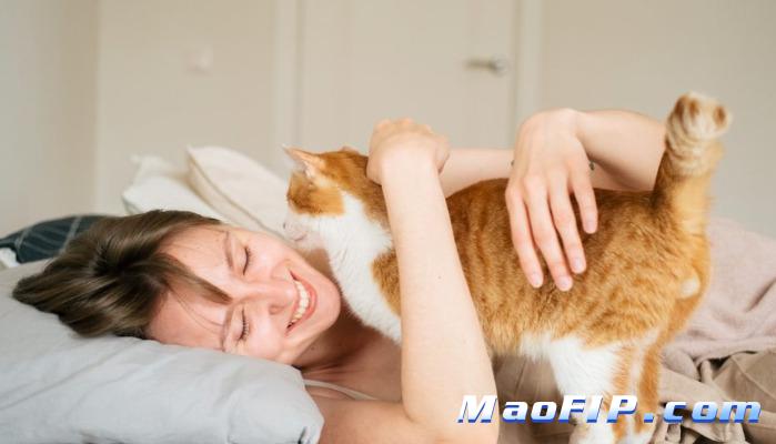猫传染性腹膜炎(FIP)GS-441524的价格