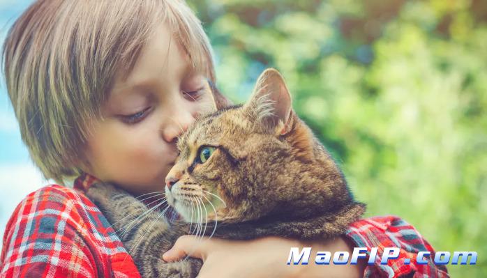 猫传染性腹膜炎(FIP)会引起什么