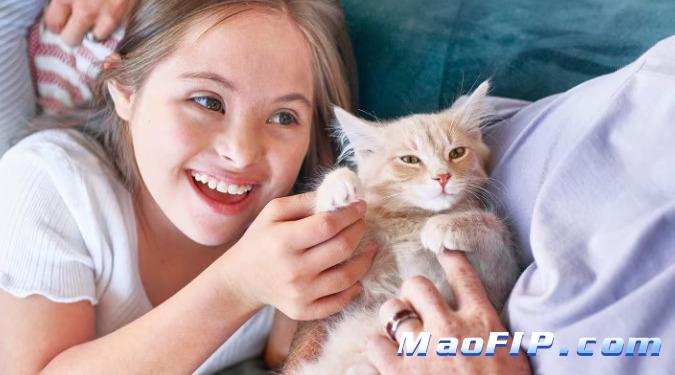 猫咪得猫传腹症状