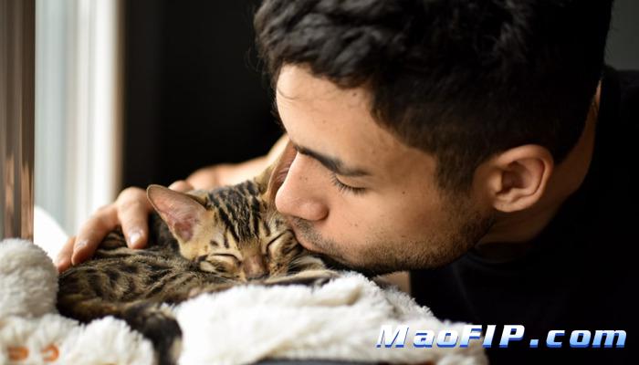 猫怎么样会得猫传腹