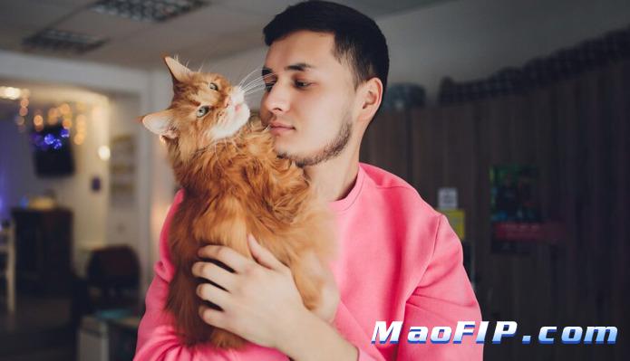 猫传腹是不是没希望了