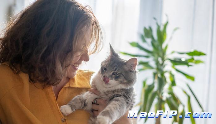 猫传腹怎么治疗