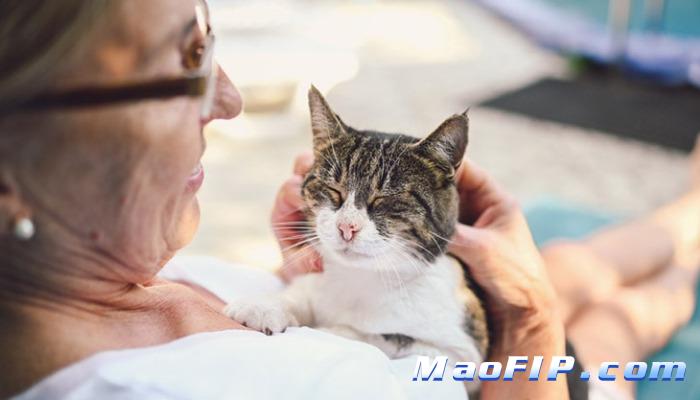 猫传染性腹膜炎的预后分析