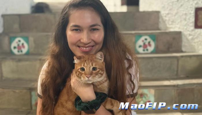 猫传腹治愈后还会再得吗