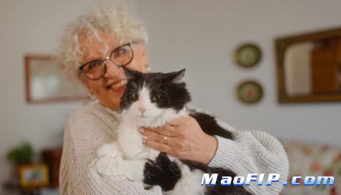 猫传腹的细胞免疫反应