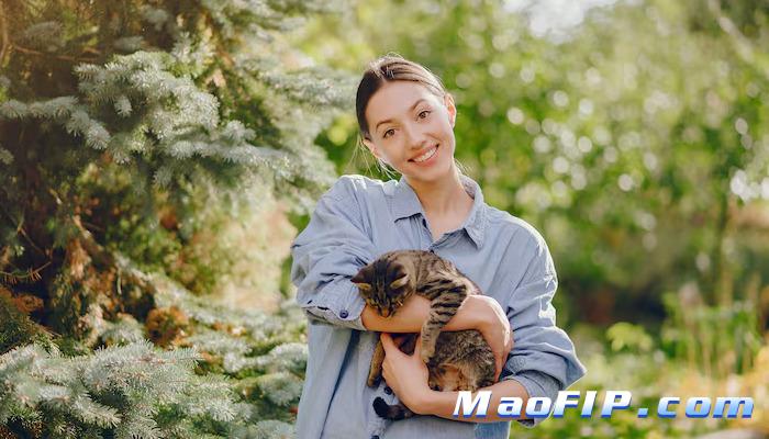 441猫传腹要多少钱