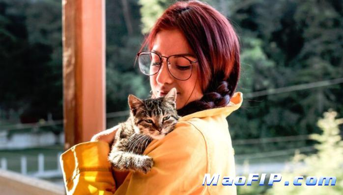 猫传腹为什么会母鸡蹲