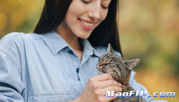 猫传腹复发会更严重吗