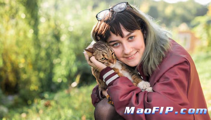 猫传腹(FIP)的原因