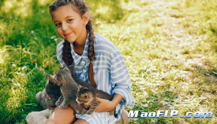 白球比低一定是猫传腹吗