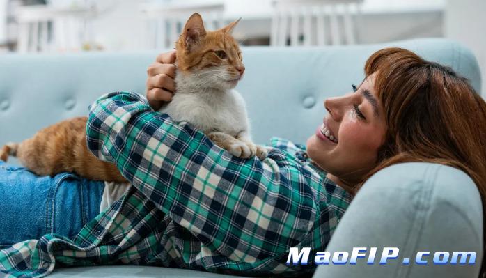 猫传腹的多重耐药性问题