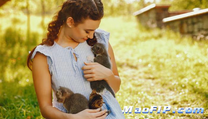 猫传腹治疗有没有统一标准