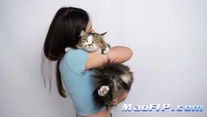 引发猫传腹(FIP)的原因