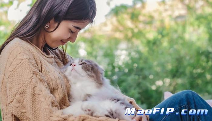 GS-441524猫传腹(FIP)针剂是什么成分