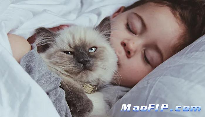 猫传腹和其他疾病确诊有难度吗