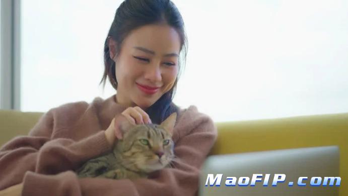猫传腹用药结束后会不会复发