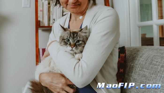 猫传染性腹膜炎治疗要多少钱