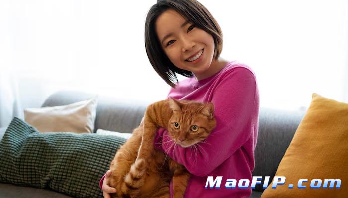 猫传腹血液检查能诊断出来吗