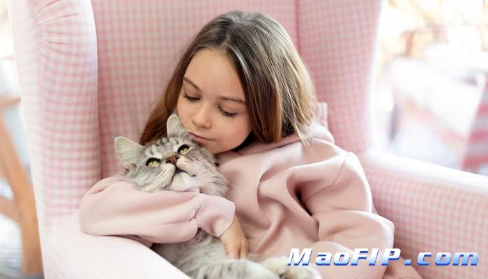 猫传腹和腹腔积液的不同