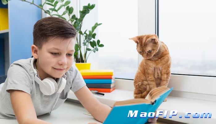 为什么会得猫传腹症状