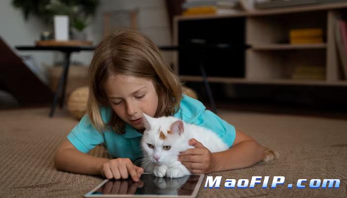 猫传腹441治疗周期