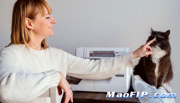 湿性猫传腹早期症状