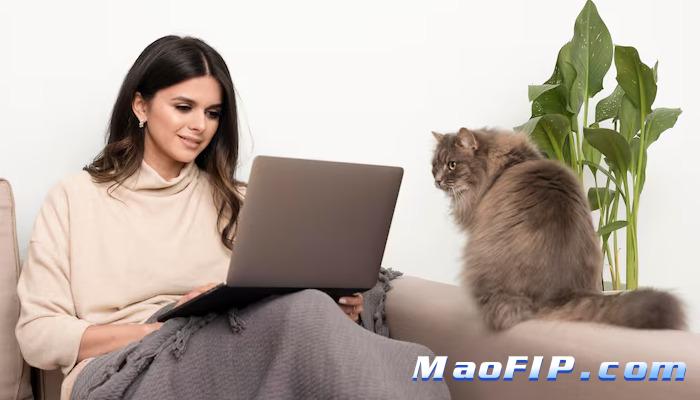 猫传腹PCR检测准不准