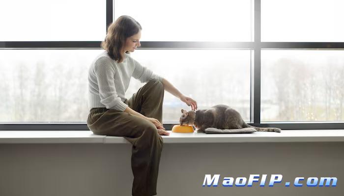 猫咪被摸肚子很抗拒是传腹吗