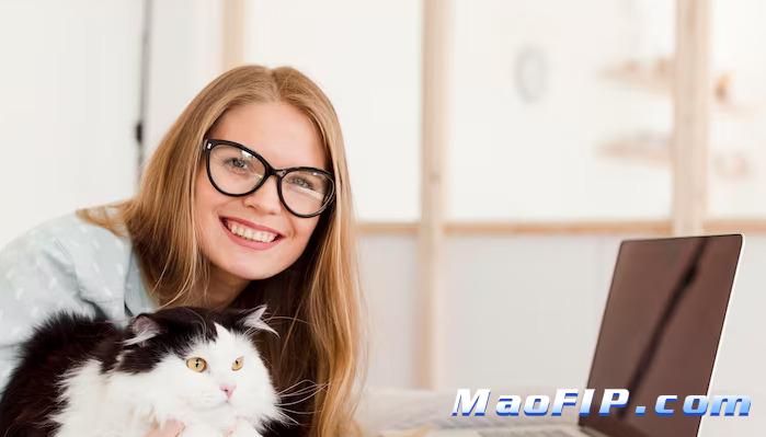 猫传腹(FIP)441主要成分是什么