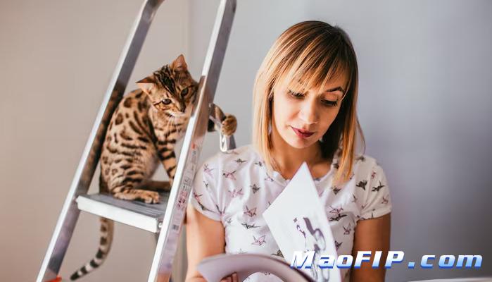 猫传染性腹膜炎(FIP)441在哪里能买到