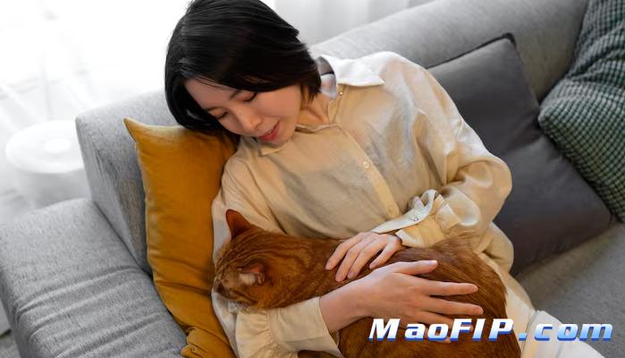 干性猫传腹症状