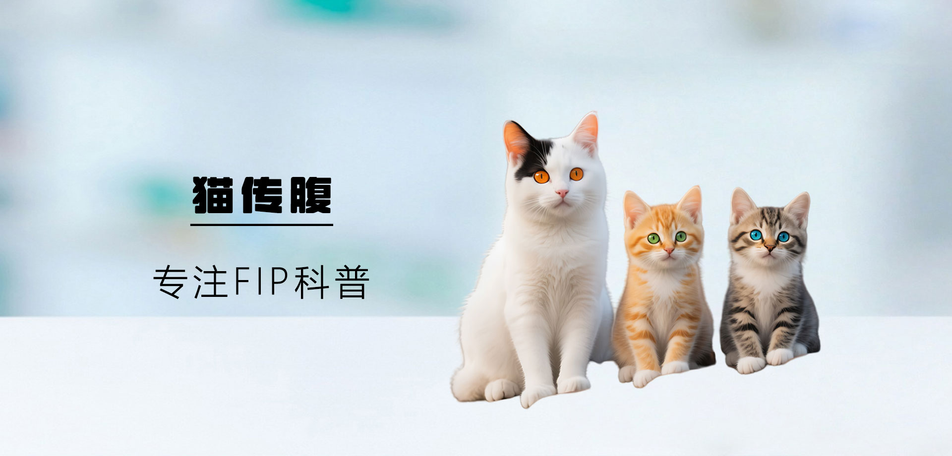 猫传腹治疗中腹水多久会消