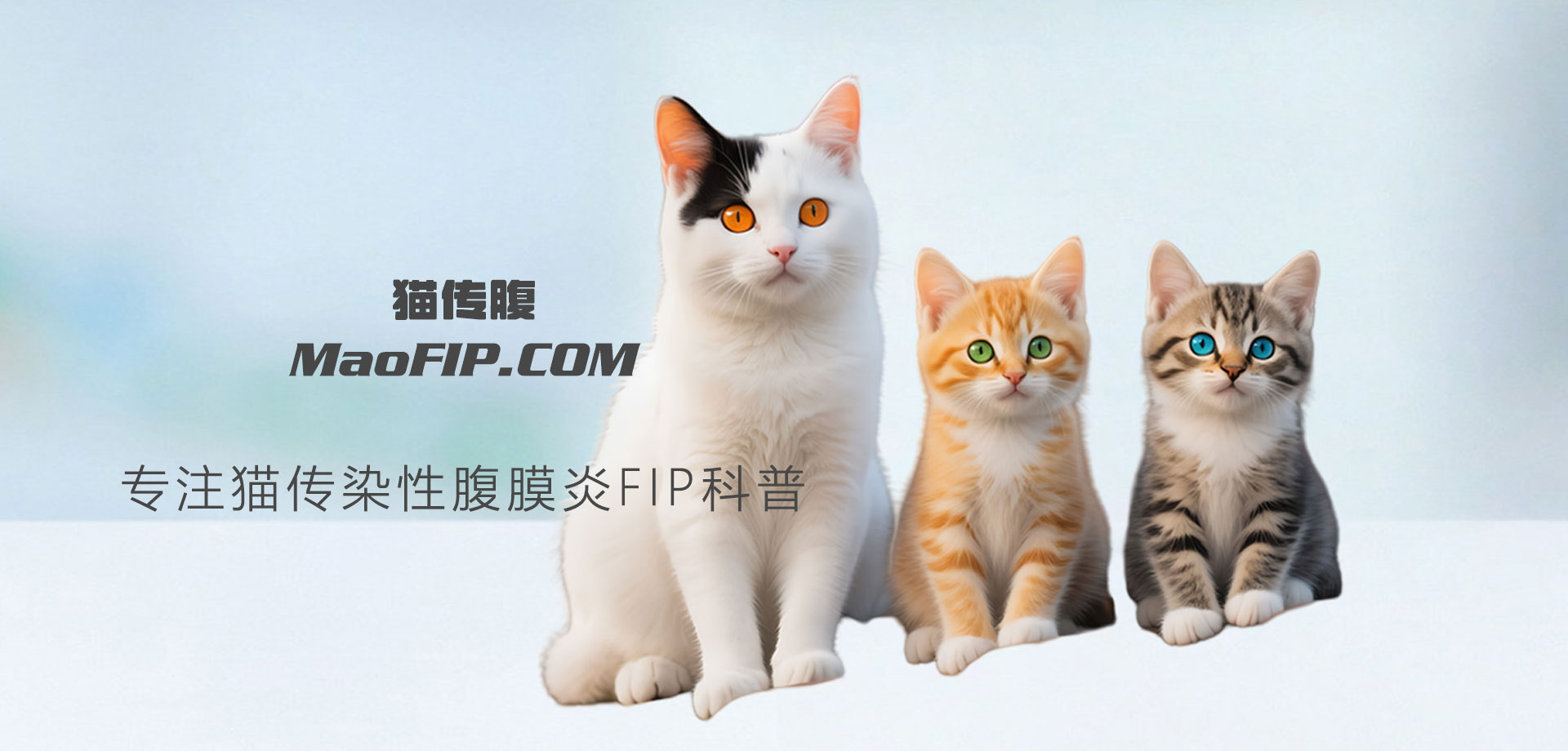 猫传腹441治愈概率多少