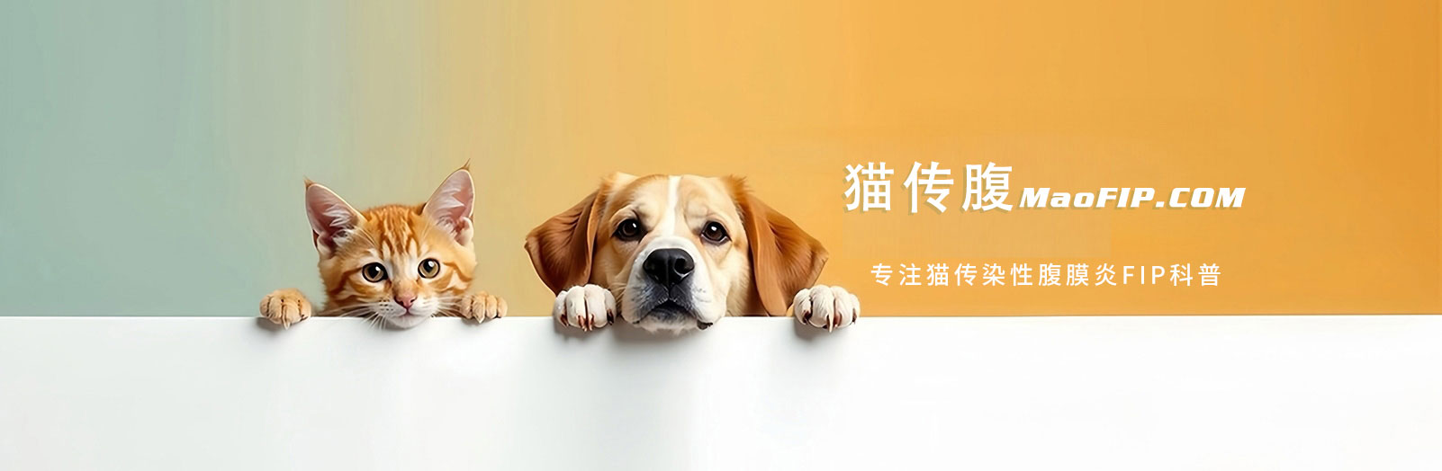 猫咪猫传腹早期症状