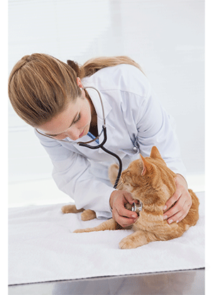 普诺德西韦（Pronidesivir）